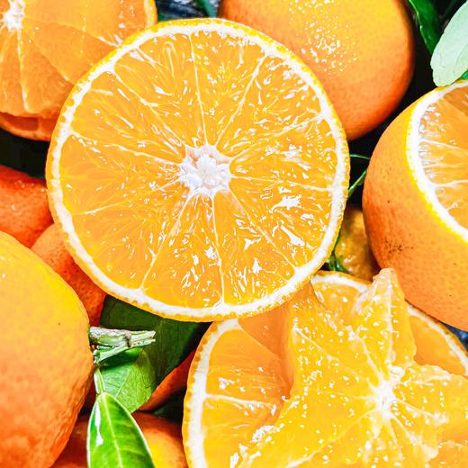【爱媛果冻橙5斤】| 果肉嫩如果冻，鲜嫩爆汁，可以吸的天然鲜橙，肉厚无渣，能徒手榨汁的果冻橙 商品图3