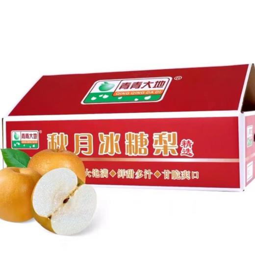 秋月梨约7斤/件 商品图0