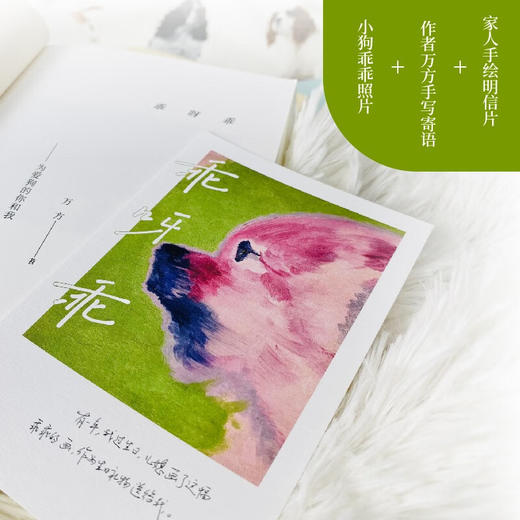 乖呀乖:为爱狗的你和我 商品图3