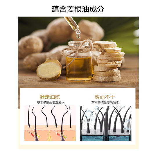露媚安生姜洗发护发素套装280ml+280ml 商品图1