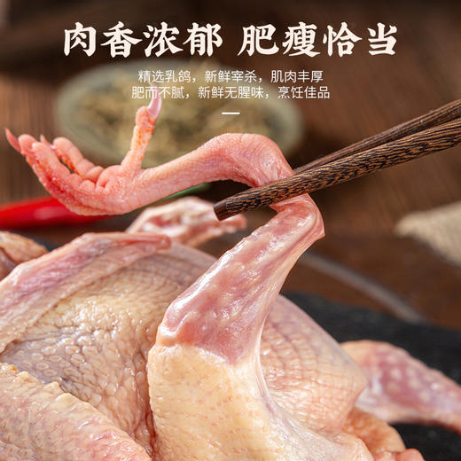 【外地专拍链接，速冻生鲜，顺丰发货】生鲜肉类郧阳区新鲜现杀青山乳鸽3只（单只杀完净重6~7两左右）下单后48小时发货 商品图4