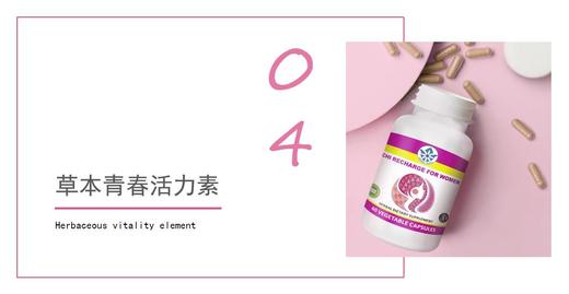 04   草本青春活力素 商品图0