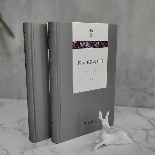 将军不敢骑白马（光启文库） 商品图2