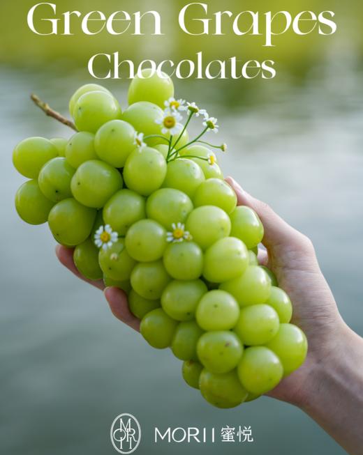 玫瑰晴王香印巧巧（需提前一天预订） 商品图5