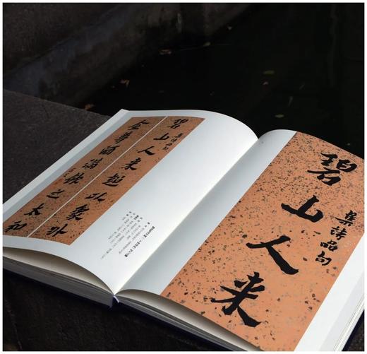 《真花不落—怀硕堂藏沈曾植书法选》，8开，沈曾植著，何华峰主编，西泠印社2022年8月一版一印，386页，红装本1180，蓝装本880元。 商品图7