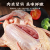【十堰主城区包邮】生鲜肉类 郧阳区新鲜现杀郧阳区青山乳鸽2只（生长周期20~20天，单只杀完净重6~7两左右）+30枚土鸡蛋 商品缩略图4
