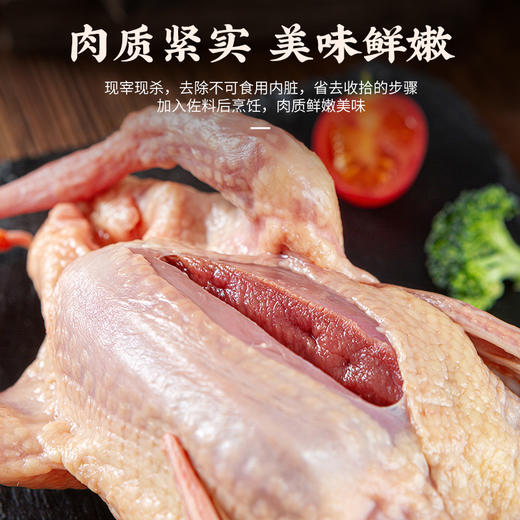 【十堰主城区包邮】生鲜肉类 郧阳区新鲜现杀郧阳区青山乳鸽2只（生长周期20~20天，单只杀完净重6~7两左右）+30枚土鸡蛋 商品图4