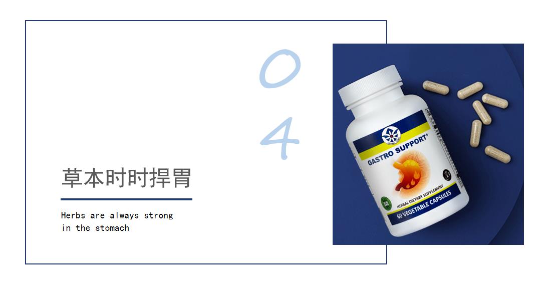 04   草本时时捍胃