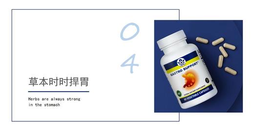 04   草本时时捍胃 商品图0