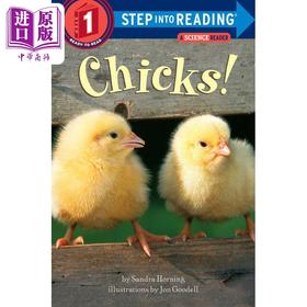 【中商原版】Step into Reading Step 1 Chicks! 兰登阅读进阶1:小鸡（百科） 英文原版 儿童绘本 分级阅读 Sandra Horning 7-12岁