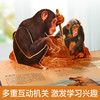 趣味科普立体书 掠食动物V4.1 3-6岁 帕特·雅各布斯 著 科普百科 商品缩略图2