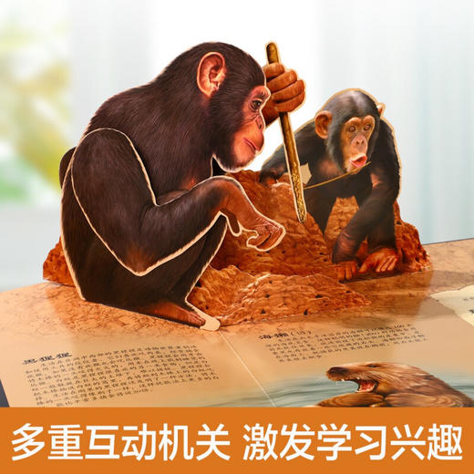 趣味科普立体书 掠食动物V4.1 3-6岁 帕特·雅各布斯 著 科普百科 商品图2