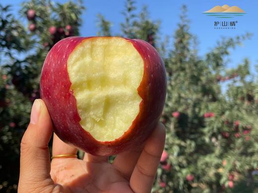 花牛苹果 商品图0