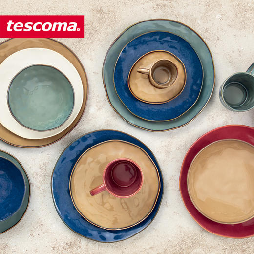 捷克进口tescoma LIVING系列进口家用陶瓷碗创意清新饭碗陶瓷碟子海棠青黛牙白系列散件 高级感餐盘长方形菜盘鱼盘牛排 创意欧式餐具 商品图2