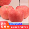山东烟台栖霞沣林生态园有机苹果 商品缩略图3