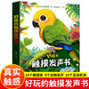好玩的触摸发声书 撕不烂带声音的绘本0-4岁 商品缩略图0