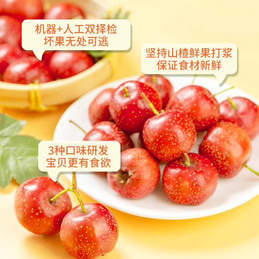 【品牌分销专属】果蔬山楂棒*1★ 商品图1