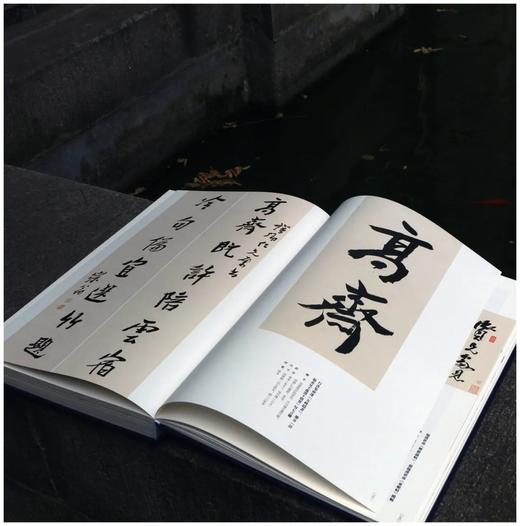 《真花不落—怀硕堂藏沈曾植书法选》，8开，沈曾植著，何华峰主编，西泠印社2022年8月一版一印，386页，红装本1180，蓝装本880元。 商品图8