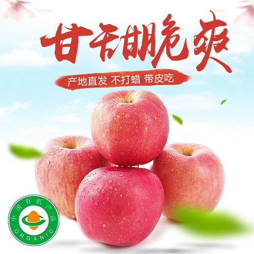山东烟台栖霞沣林生态园有机苹果 商品图1
