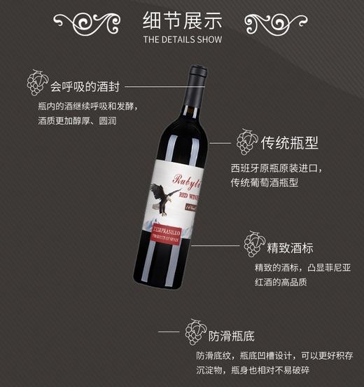 【中欧班列直供】西班牙葡萄酒  原装进口菲尼亚丹魄干红葡萄酒 14%VOL 750ml/瓶 商品图2