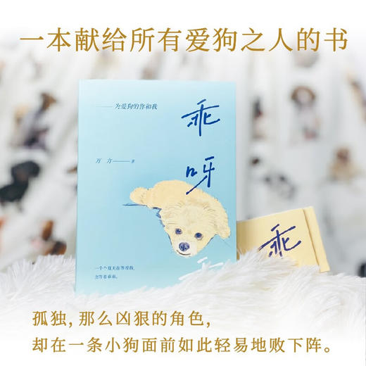 乖呀乖:为爱狗的你和我 商品图1