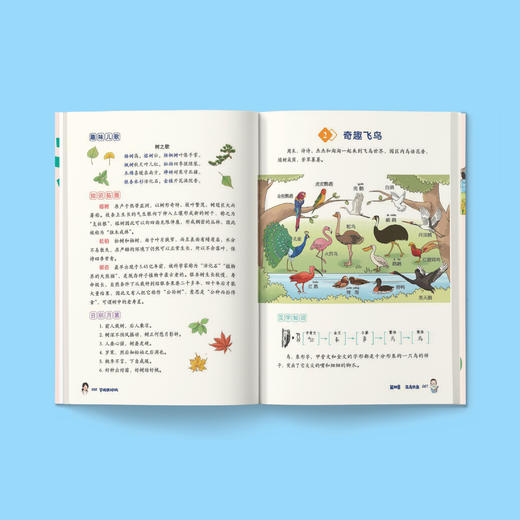 《玩转大语文》（全6册） 商品图3