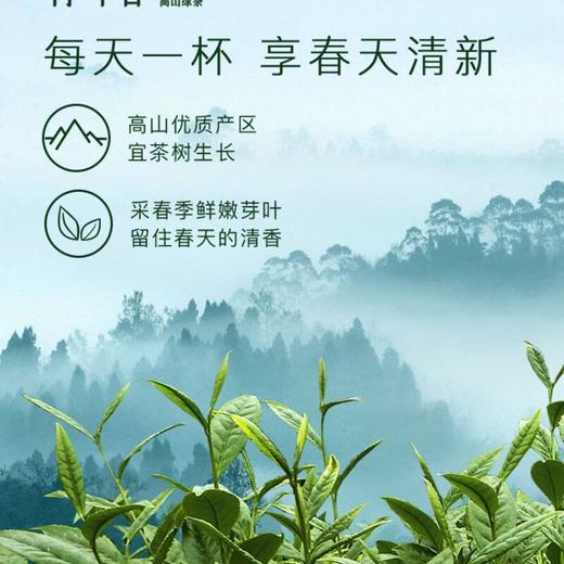 【促】竹叶春特级绿茶50g/袋 商品图3