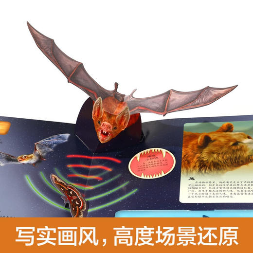 趣味科普立体书 掠食动物V4.1 3-6岁 帕特·雅各布斯 著 科普百科 商品图1