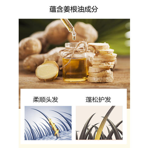 露媚安生姜洗发护发素套装280ml+280ml 商品图2