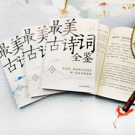 【申怡专属】最美古诗词全鉴4册中国古诗词赏读作品集 商品图2
