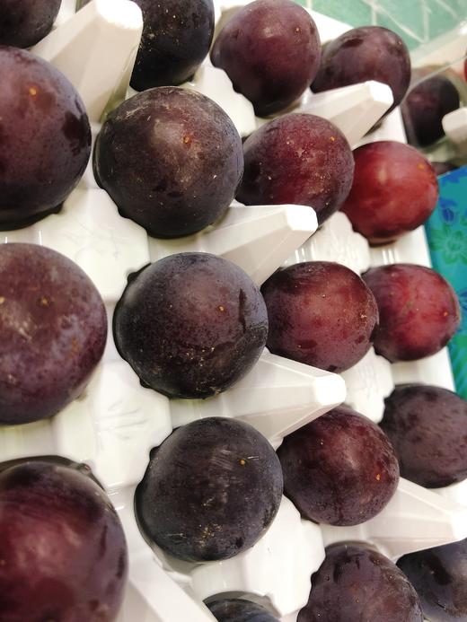 辽峰葡萄一盒（拼团） 商品图3