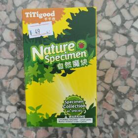 T 千千谷昆虫  2804069      黄豹盛蛱蝶/FK4069