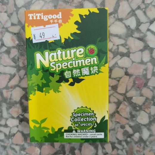 T 千千谷昆虫  2804069      黄豹盛蛱蝶/FK4069 商品图0