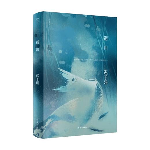 逝川 迟子建作品 迟子建 著 小说 商品图0