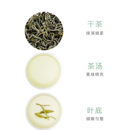 【促】竹叶春特级绿茶50g/袋 商品图1