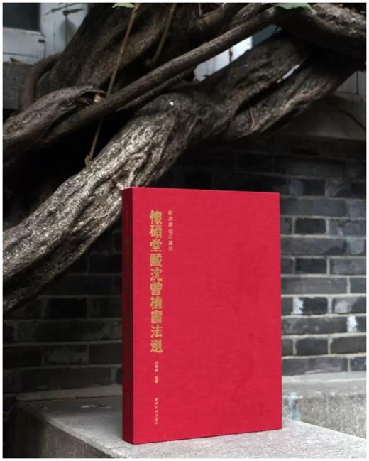 《真花不落—怀硕堂藏沈曾植书法选》，8开，沈曾植著，何华峰主编，西泠印社2022年8月一版一印，386页，红装本1180，蓝装本880元。 商品图1