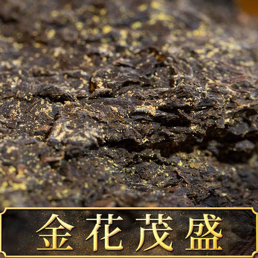 黑茶丨湘益茯茶 正宗纪念茶 峥嵘60礼盒 1kg 商品图1