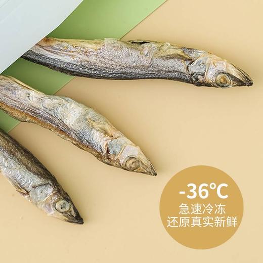 KiligCat冻干多春鱼\磷虾15g/50g宠物零食 无添加批发代发 商品图2