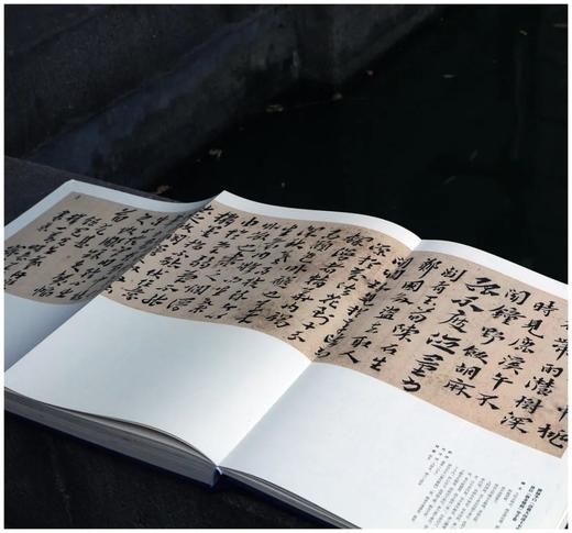 《真花不落—怀硕堂藏沈曾植书法选》，8开，沈曾植著，何华峰主编，西泠印社2022年8月一版一印，386页，红装本1180，蓝装本880元。 商品图13