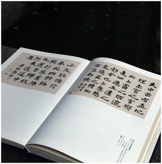 《真花不落—怀硕堂藏沈曾植书法选》，8开，沈曾植著，何华峰主编，西泠印社2022年8月一版一印，386页，红装本1180，蓝装本880元。 商品图10