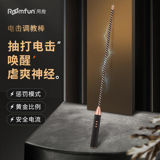 房趣roomfun情趣电击调教系列 拍打电击 安全电流不伤身 商品图8