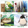 好玩的触摸发声书 撕不烂带声音的绘本0-4岁 商品缩略图4