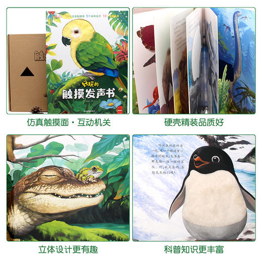 好玩的触摸发声书 撕不烂带声音的绘本0-4岁 商品图4