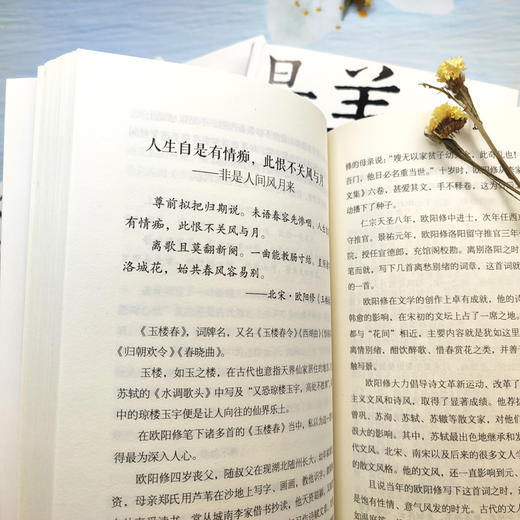 【申怡专属】最美古诗词全鉴4册中国古诗词赏读作品集 商品图3