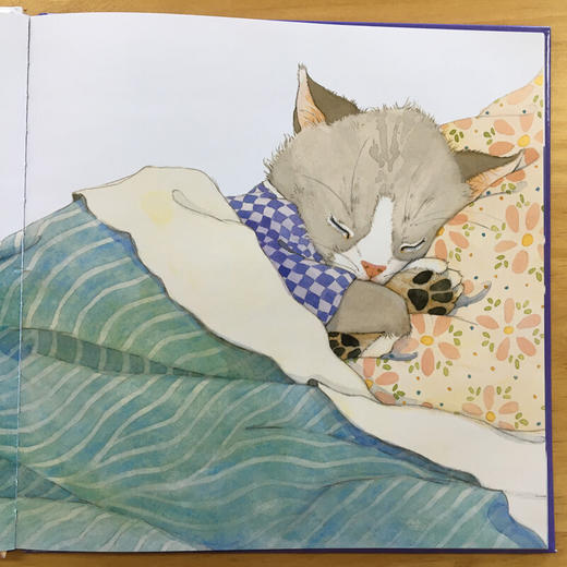 【支持点读】《小猫咪，小猫咪，起床喽！》精选“大奖绘本”系列-火火兔绘本【适合1-4岁】 商品图2