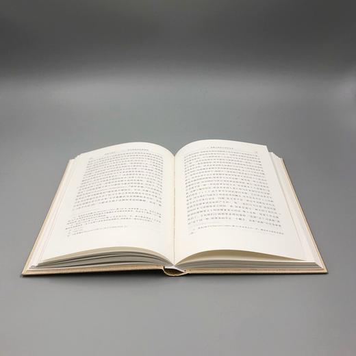 道德与政治——二十一世纪的政治伦理基础(第一卷)：规范性的基础（政治哲学名著译丛） 商品图6