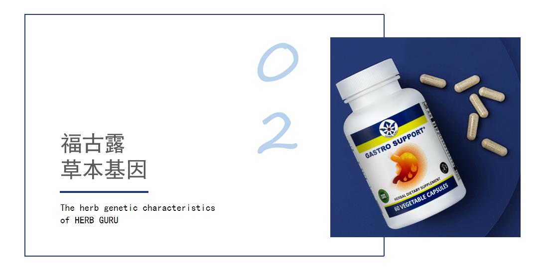 02   福古露草本基因