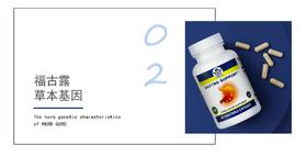 02   福古露草本基因