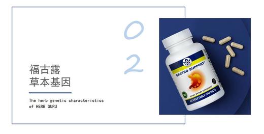 02   福古露草本基因 商品图0