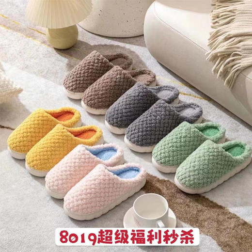 【9.9元/双】亿买家男女士朵绒棉拖（1216308） 商品图0